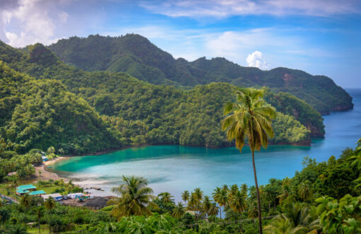 Vincy Coast Tour - Public (Mon-Wed-Fri) 1pm-4pm