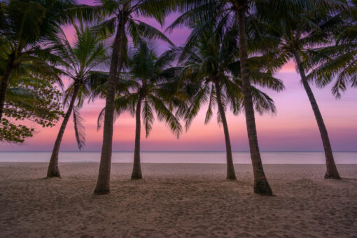 Sunset Cruise - Image 2