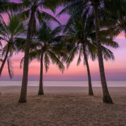 Mustique Private Charters - Priced Per Day