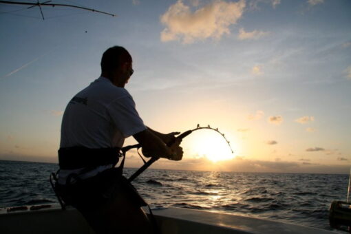 Deep Sea Fishing - Image 3