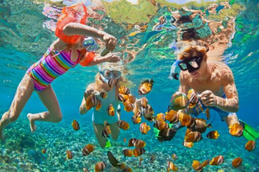 Snorkeling/ Water Scooter Diving - Image 3