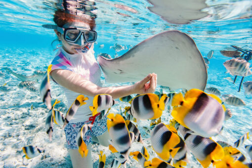 Snorkeling/ Water Scooter Diving - Image 2