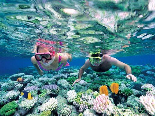 Snorkeling/ Water Scooter Diving - Image 4